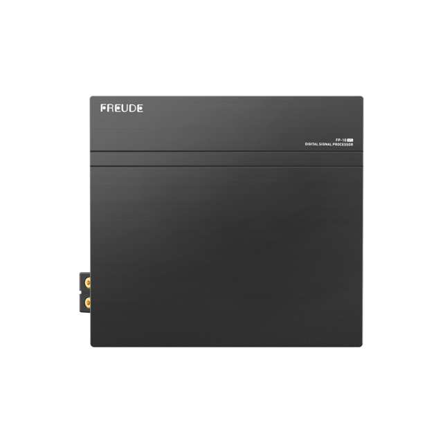 FP-10 V5