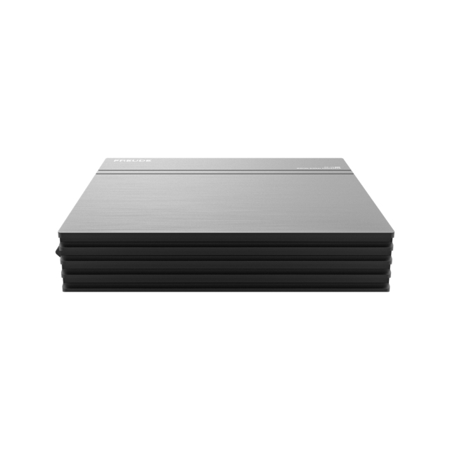 FP-10 V5