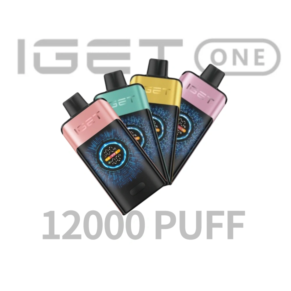 IGET ONE 12,000 Puffs Disposable Vape – 2700 mAh Smart LED, Dual‑Mesh Coils, Turbo Mode