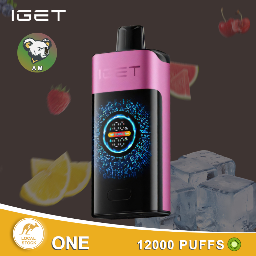 IGET ONE 12,000 Puffs Disposable Vape – 2700 mAh Smart LED, Dual‑Mesh Coils, Turbo Mode