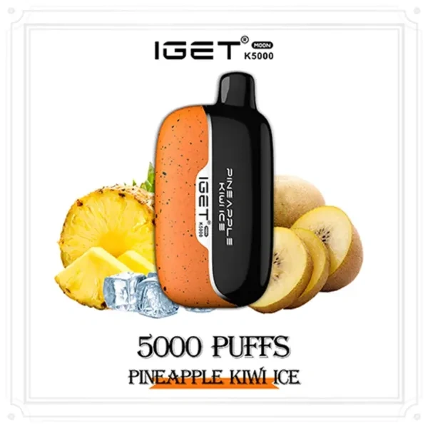 IGET Moon K5000 - 5000 puffs disposable electronic cigarette
