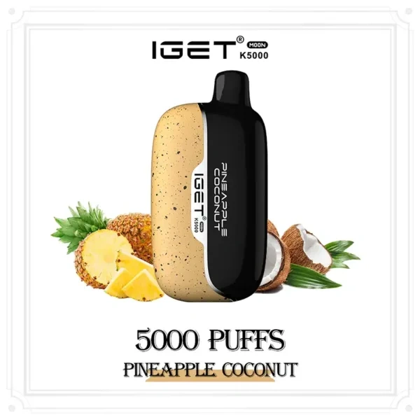 IGET Moon K5000 - 5000 puffs disposable electronic cigarette