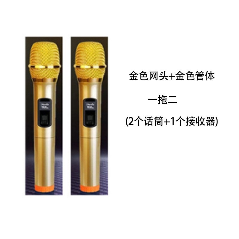Handheld wireless microphone one to two outdoor live broadcast equipment home karaoke audio stage universal microphone