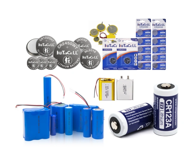 lithium ion battery manufacturers