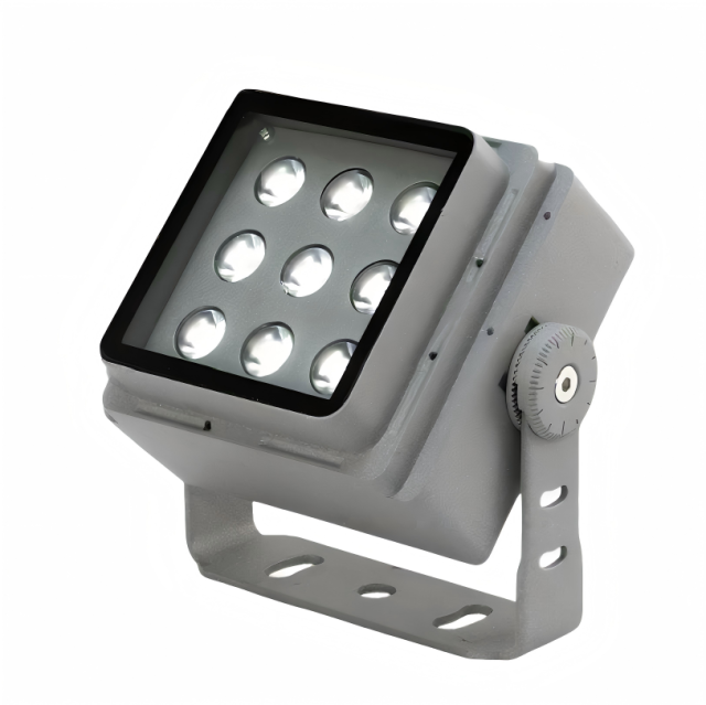 Seekway CT115A Floodlight for landscape, wall washing, and garden applications Lighting