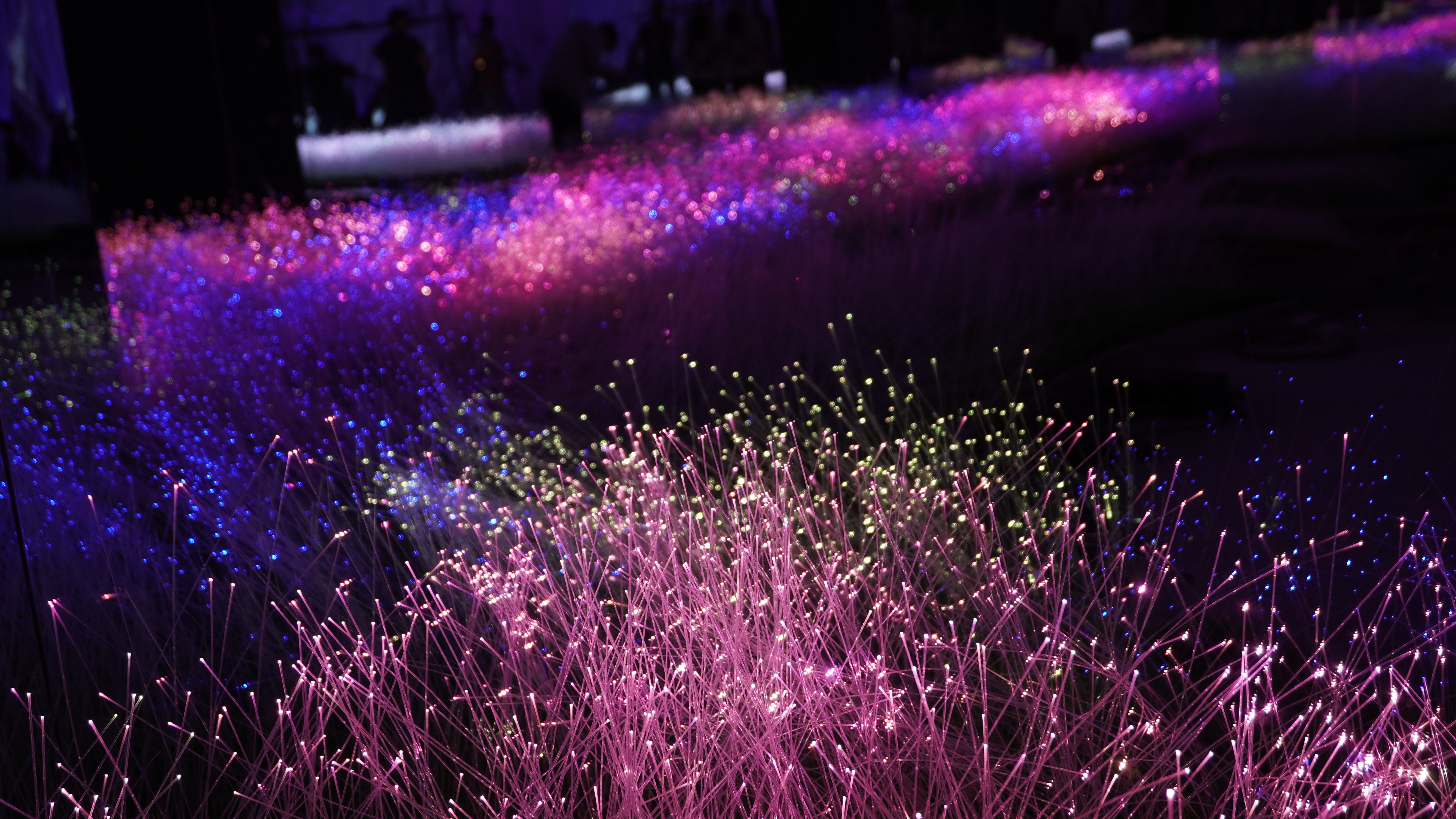Immersive art and fiber optic lighting in Tashkent Magic City.(Иммерсивное искусство и волоконно-оптическое освещение в Magic City Ташкент.)