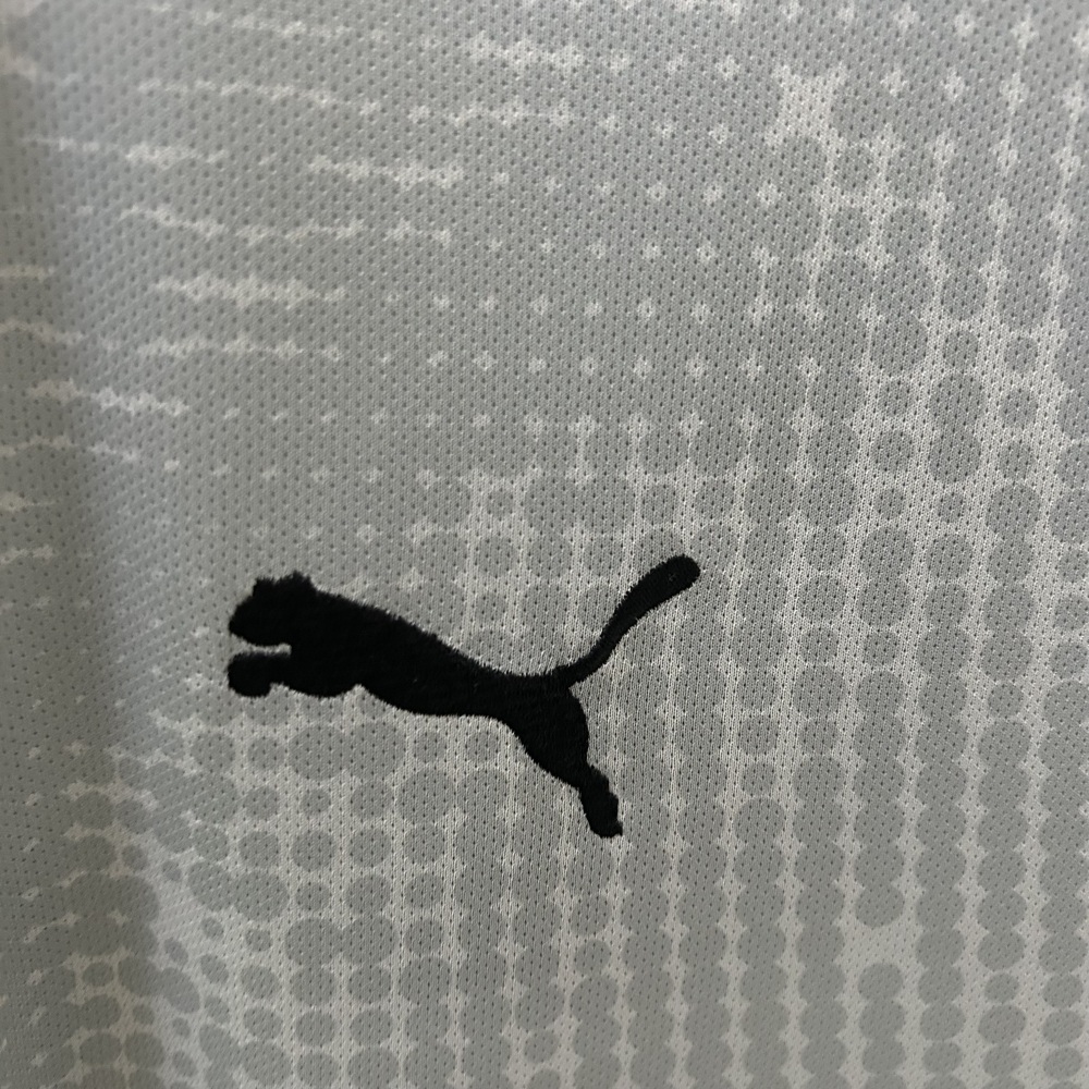 2025 Goalkeeper Portugal Grey Jersey  1:1 Thai quality