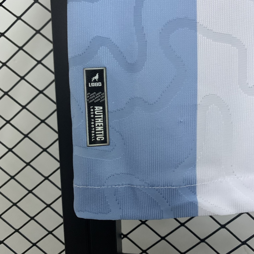 25/26 Paysandu Home Jersey  1:1 Thai quality S-4XL