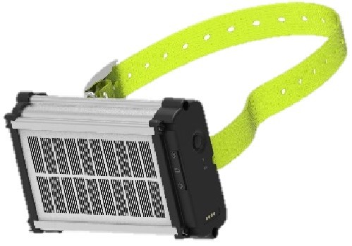4G Collar Cows GPS Tracker---[PetSecure20-4G ( Solar )],Xbuscar Telematics hardware Solutions Provider