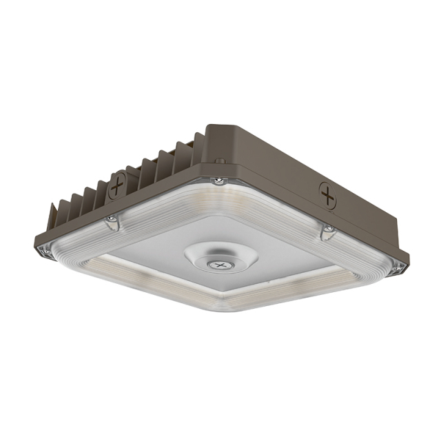 LED Canopy Light