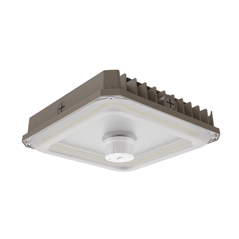 LED Canopy Light
