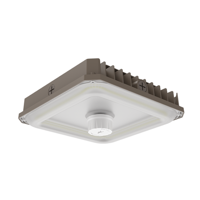 LED Canopy Light