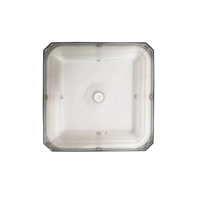 LED Canopy Light