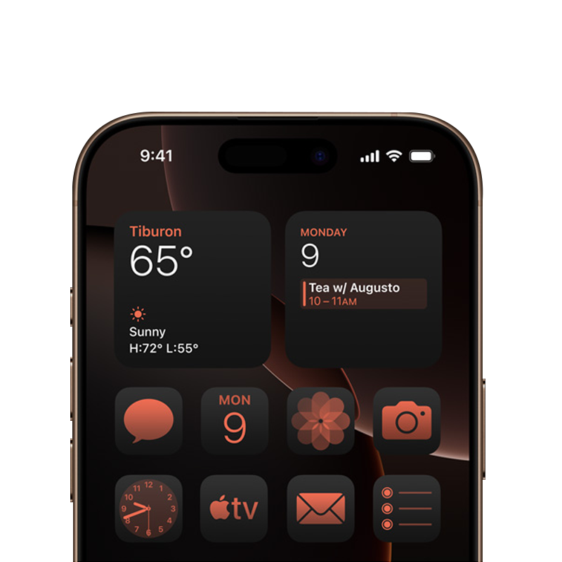iPhone 16 Pro