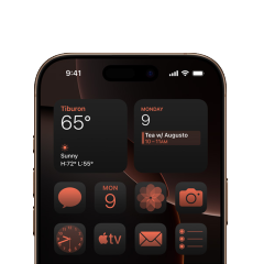 iPhone 16 Pro
