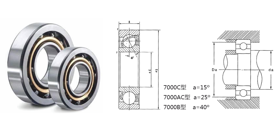 Angular contactor bearings