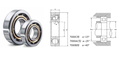 Angular contactor bearings