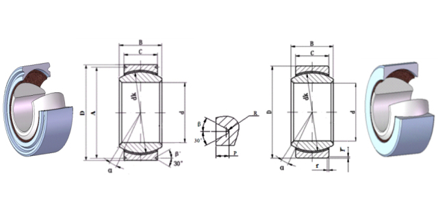 European standard bearings