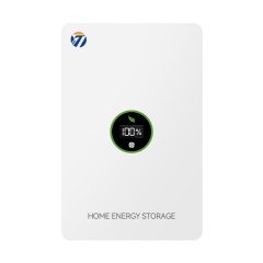 Home Power Wall Solar BMS Lifepo4 Lithium Ion Battery｜tmwbattery.com