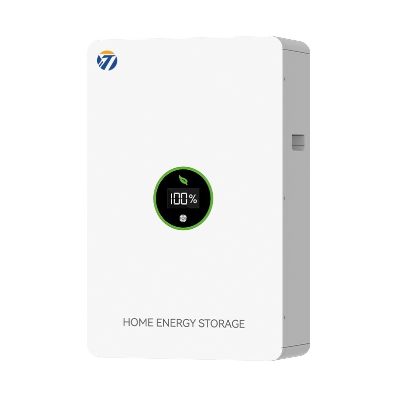Home Power Wall Solar BMS Lifepo4 Lithium Ion Battery｜tmwbattery.com