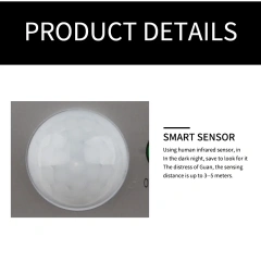 Surveillance Cameras LED Simulation Monitoring Security Lighting Solar Motion Sensor Wall Lamp Outdoor