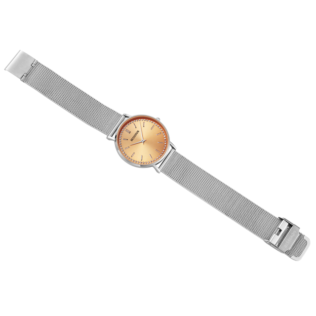 Besseron watch manufacturer