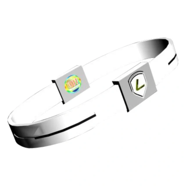 2024 San Francisco New Brand Lidun Hot Sell Silicone Bracelet with Frequency and Hologram Energy