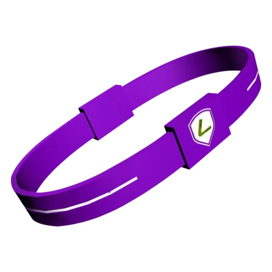 2024 San Francisco New Brand Lidun Hot Sell Silicone Bracelet with Frequency and Hologram Energy