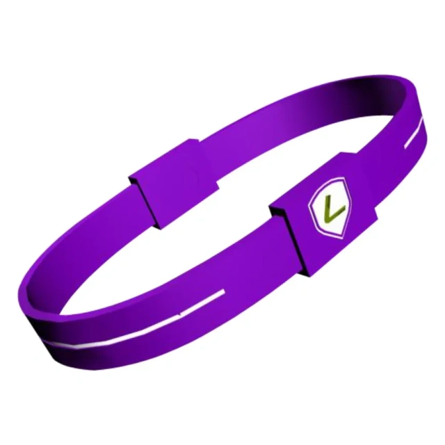 2024 San Francisco New Brand Lidun Hot Sell Silicone Bracelet with Frequency and Hologram Energy