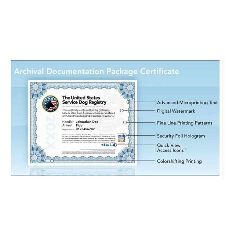 China suppliers wholesale cheap brochures certificate printing service