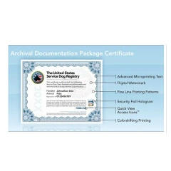 China suppliers wholesale cheap brochures certificate printing service