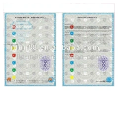 Custom Printing Brochure Printing Design A4 A5 Custom Instruction Manual Paperback Soft Book Catalog Mini Booklet Printing