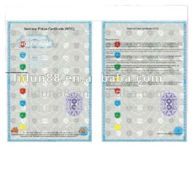 Custom Printing Brochure Printing Design A4 A5 Custom Instruction Manual Paperback Soft Book Catalog Mini Booklet Printing