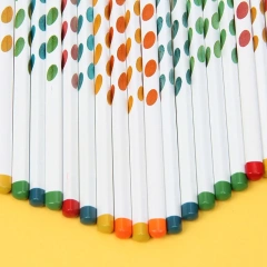 Cute School Pencil Set Wooden Lead Drawing Custom Pencils Logo Standard HB Hole Colored Pencils Eraser