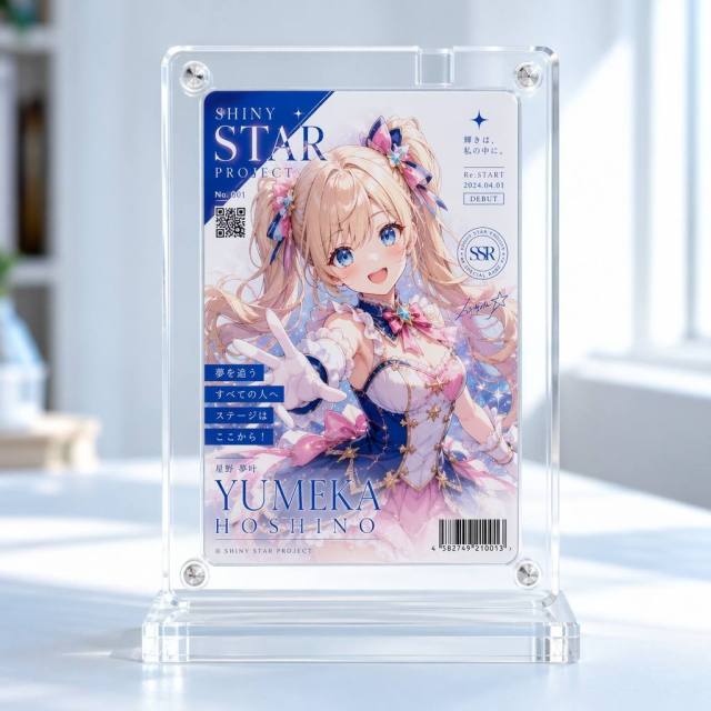 Custom Acrylic Card Insertion Standee
