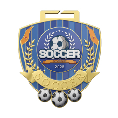 Super Cup Soccer 2nd Place Medal