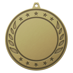 Classic Basketball Game Medal of Honor
