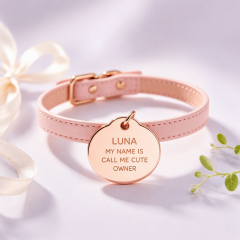 Custom Personalized Pet ID Tags
