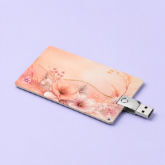 Credit Card USB Flash Drive