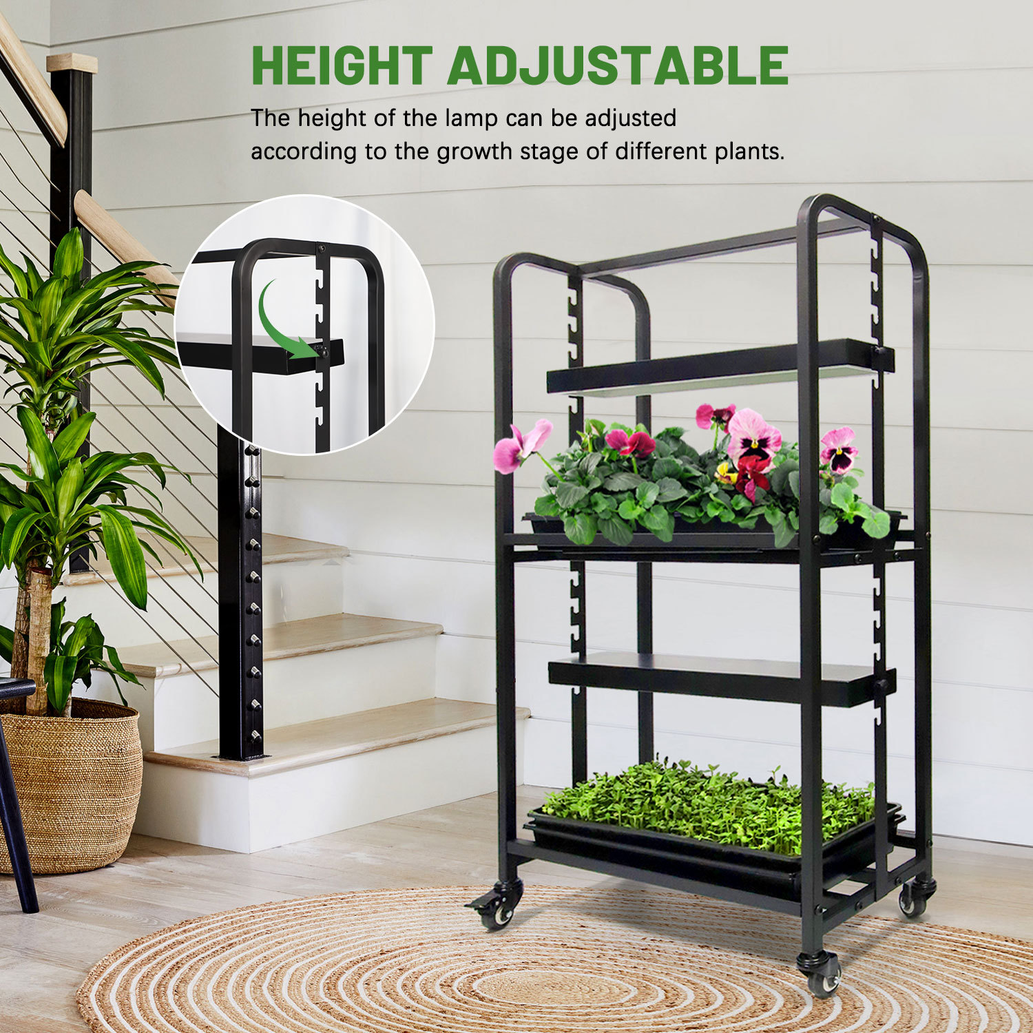 Two Tray Wheatgrass Microgreens Growing System Racks,EDKFARM Grow Light System