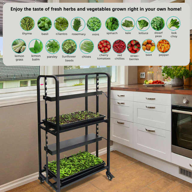 Two Tray Wheatgrass Microgreens Growing System Racks,EDKFARM Grow Light System