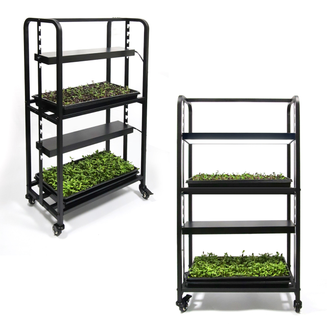 Two Tray Wheatgrass Microgreens Growing System Racks,EDKFARM Grow Light System