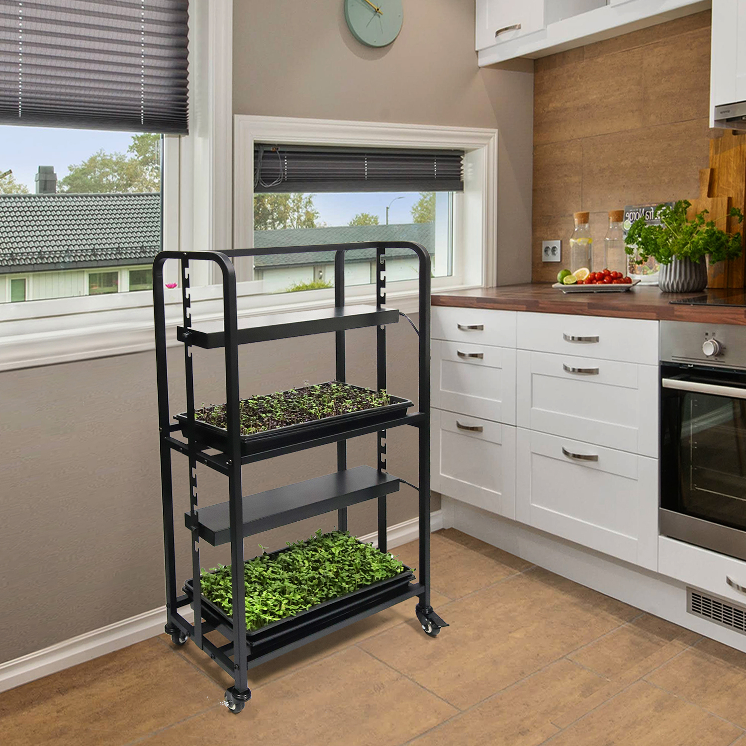 Two Tray Wheatgrass Microgreens Growing System Racks,EDKFARM Grow Light System