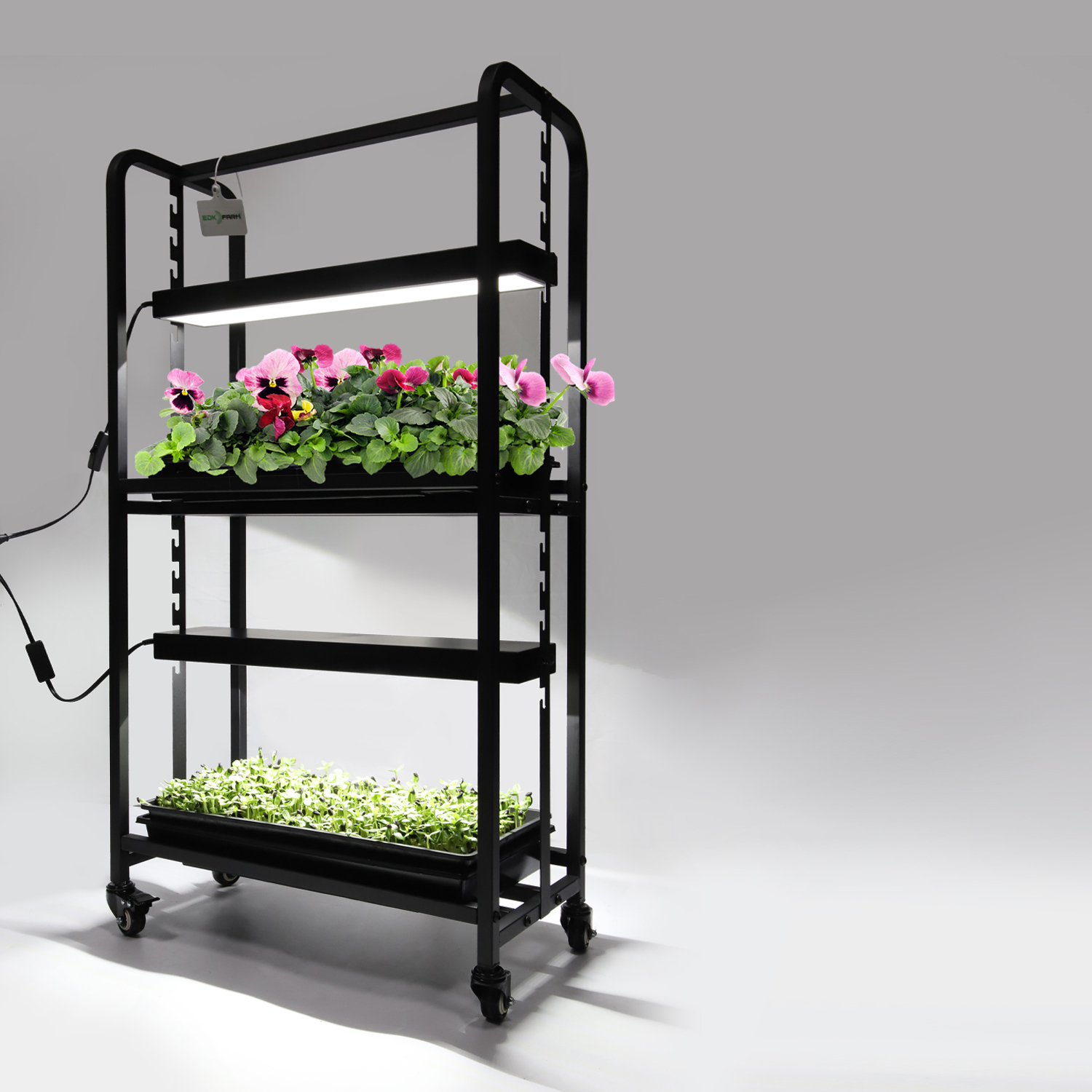 Two Tray Wheatgrass Microgreens Growing System Racks,EDKFARM Grow Light System