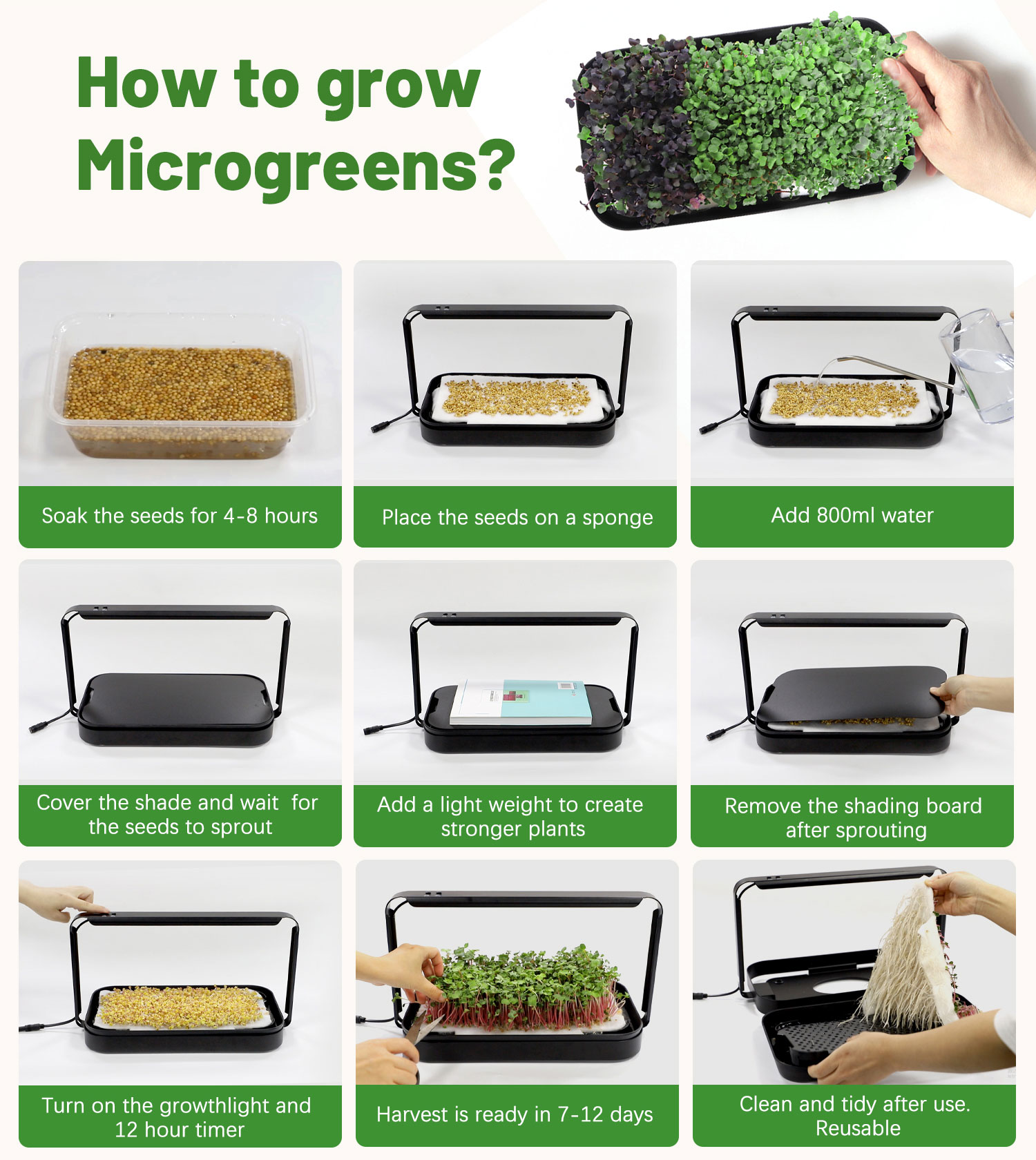 How to grow microgreens
