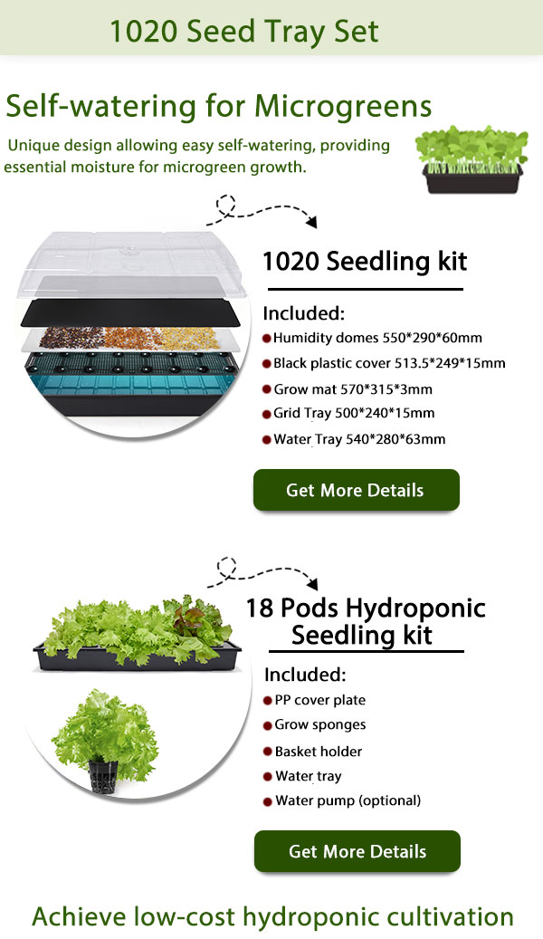 1020 Seedling Tray