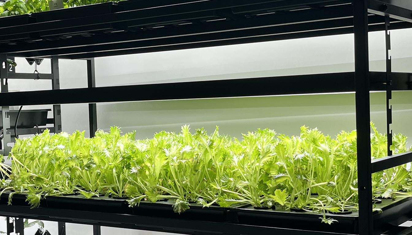 Seed Start Nursery Tray