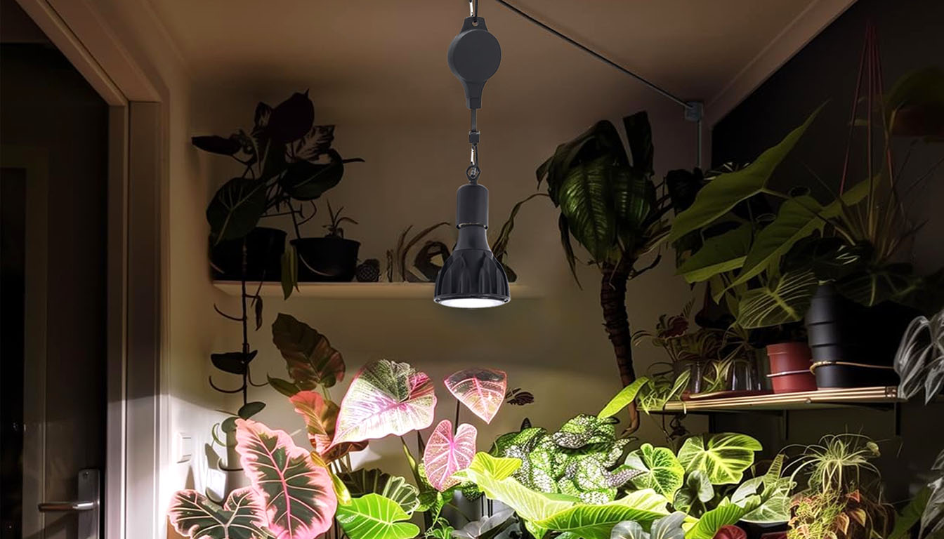 Adjustable Height Grow Lights