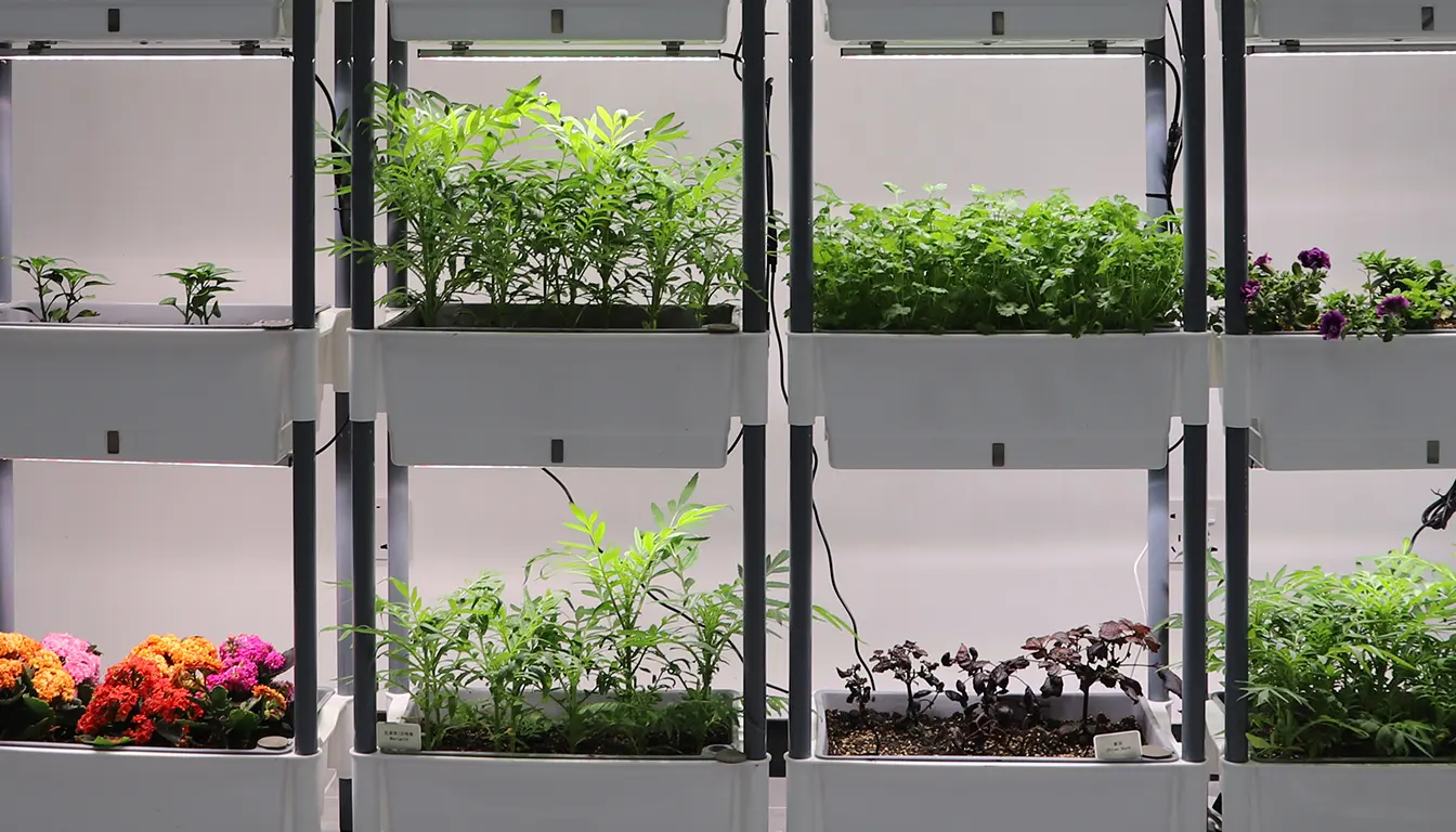 3010 planter box system