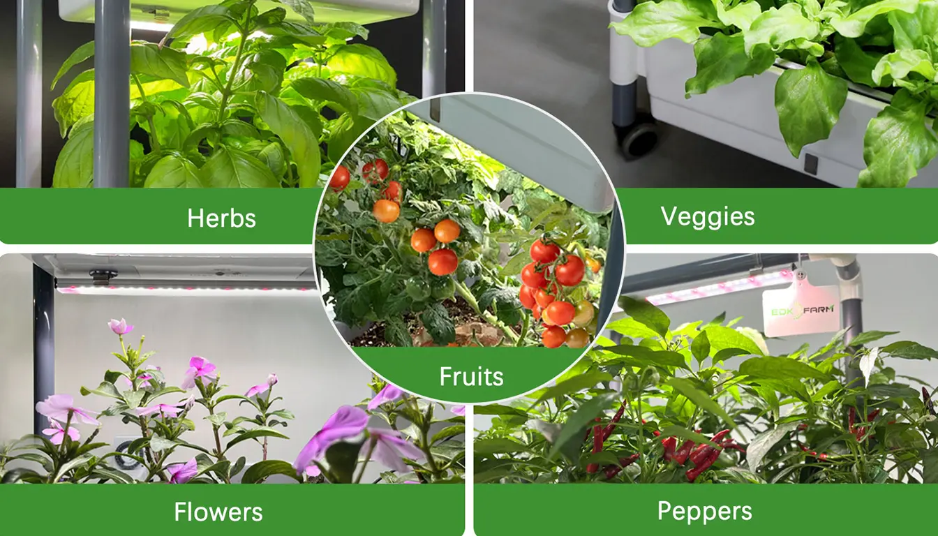 full spectrum grow light